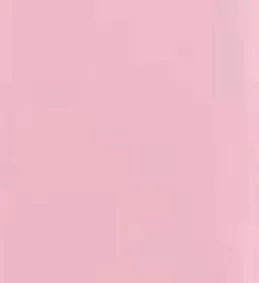 05 Flamingo